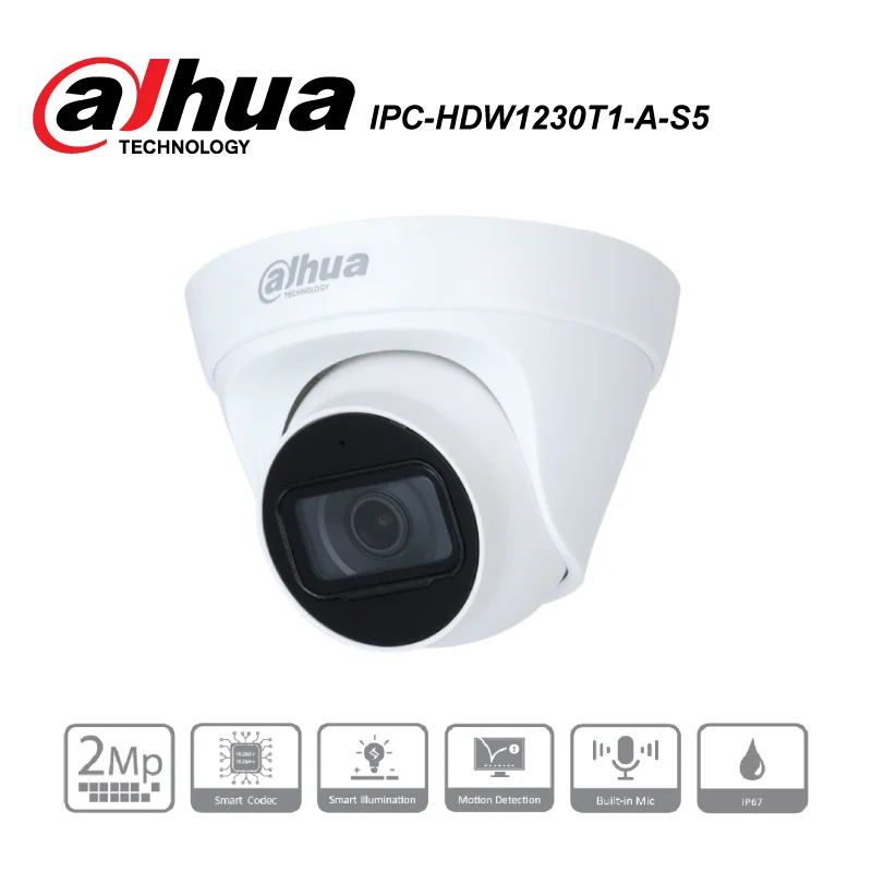 2MP IR Fixed Eyeball IP Camera