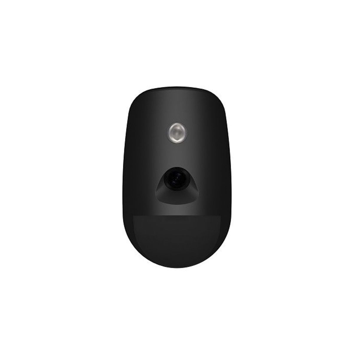 AX PRO PIRCAM